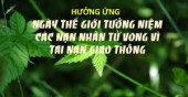 Hưởng ứng “Ngày thế giới tưởng niệm các nạn nhân tử vong vì tai nạn giao thông”