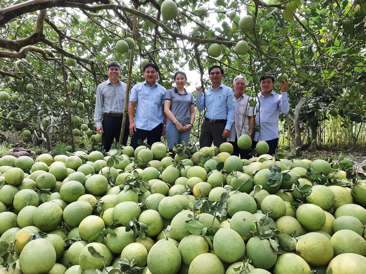 Hội Nông dân huyện thực hiện tốt công tác ủy thác vay vốn với Ngân hàng chính sách xã hội huyện