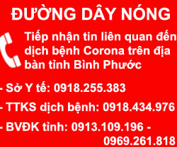 duongdaynongcorona 1